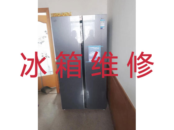 广州冰箱冰柜维修